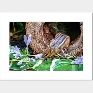 Chipmunk takes time to smell the flowers outside her log home Posters and Art